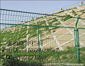 安平鑫福隆金属丝网制品厂 专业供应各类护栏网与防护设施